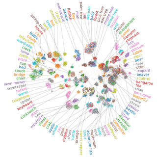 t-SimCNE Visualization of the CIFAR-100 dataset.